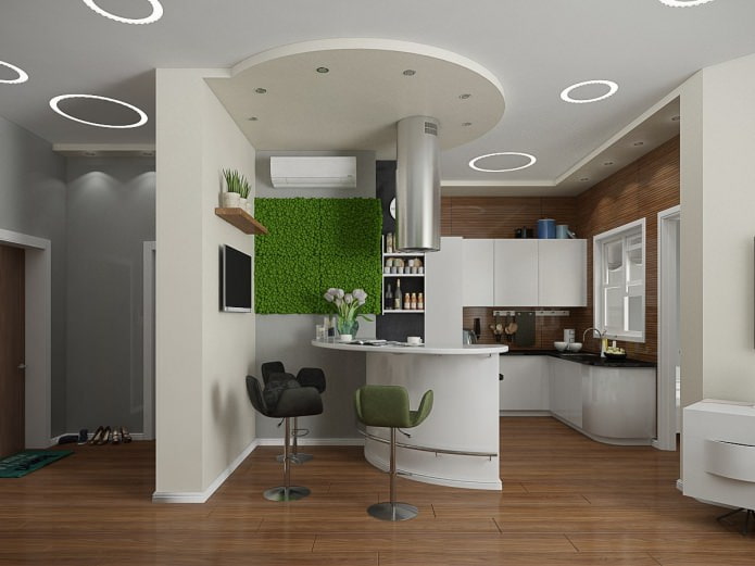 virtuvė su baru buto interjero dizaino projekte