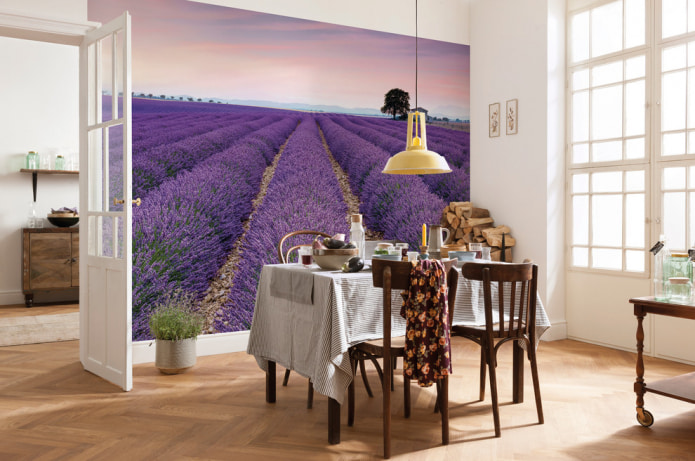 gambar yang menggambarkan ladang lavender