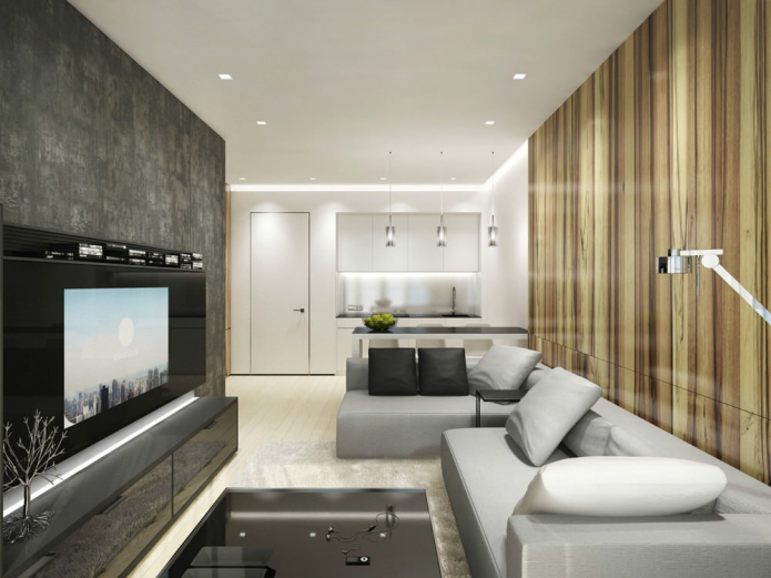 kuchyň-obývací pokoj ve stylu minimalismu