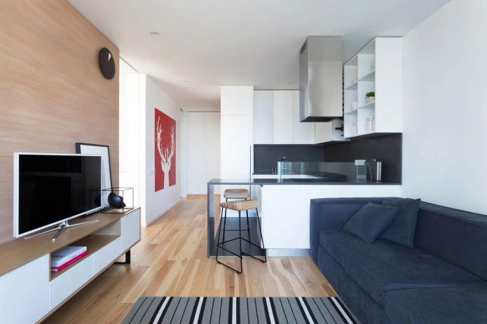 virtuves-dzīvojamās istabas dizains ar bāru