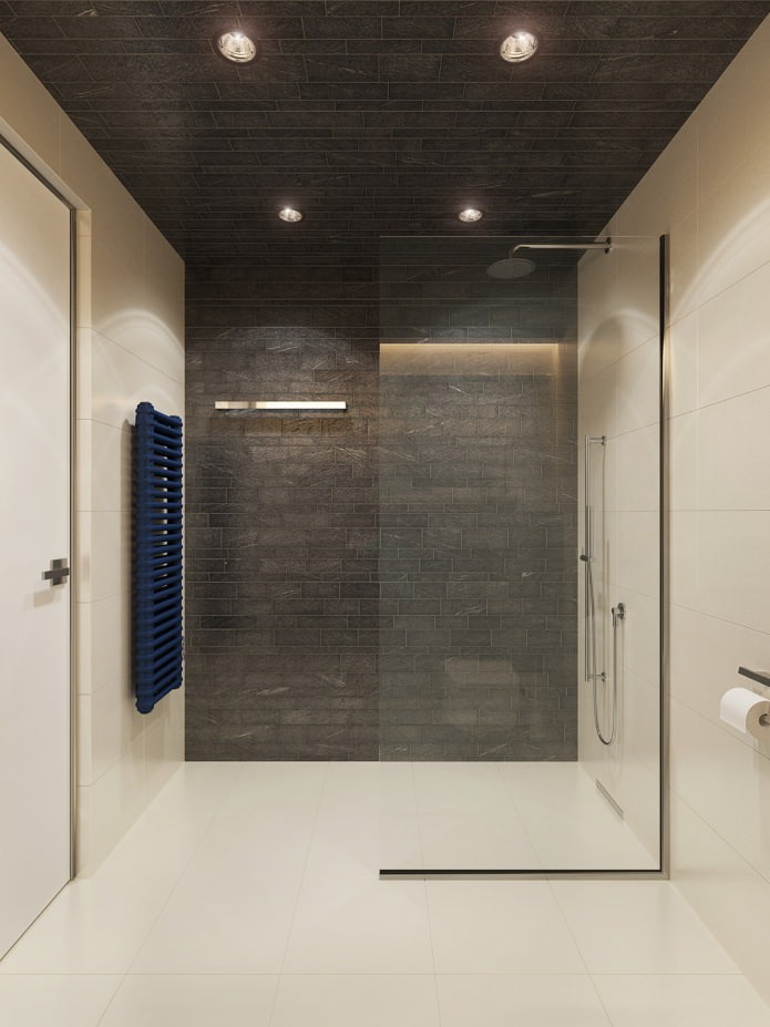 vonios kambario dizainas studijos tipo apartamentuose