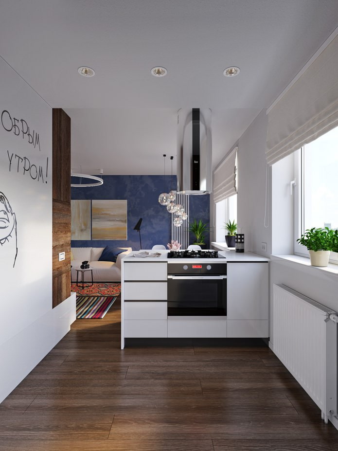 nhà bếp trong thiết kế của một căn hộ 31 sq. m.