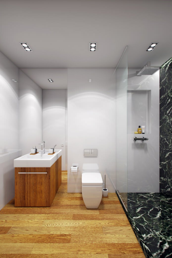 vonios kambarys buto interjero dizaino projekte