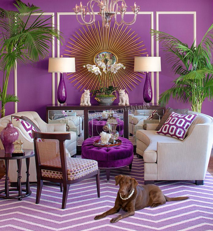 fialová v interiéri obývacej izby