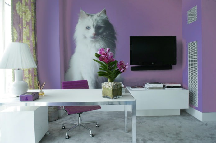 pisică pe perete în birou