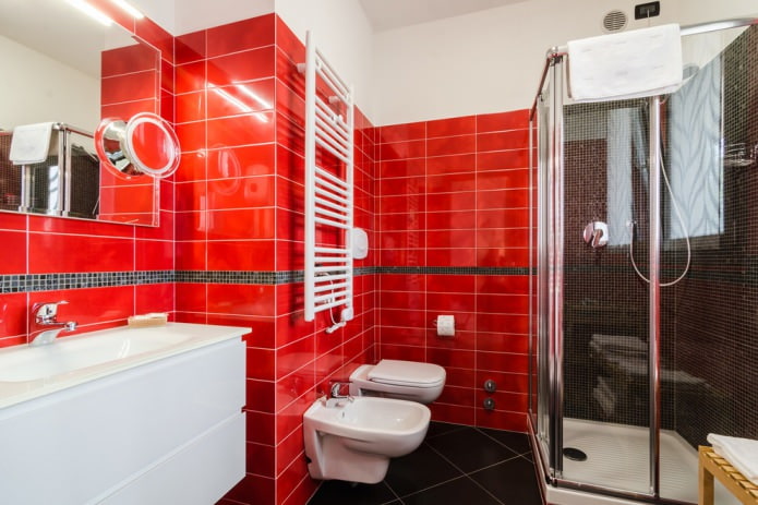 raudonos plytelės ant sienų vonios kambaryje