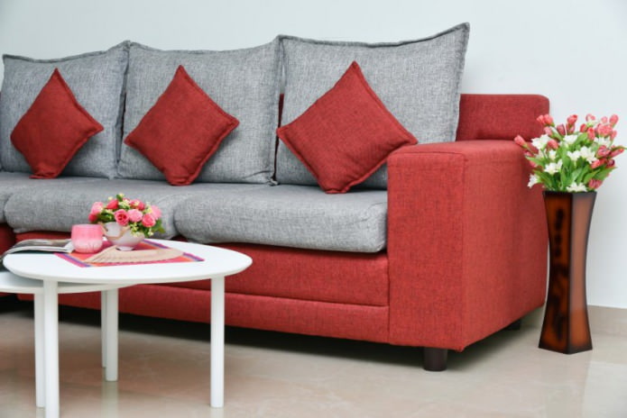 Pilka-raudona sofa