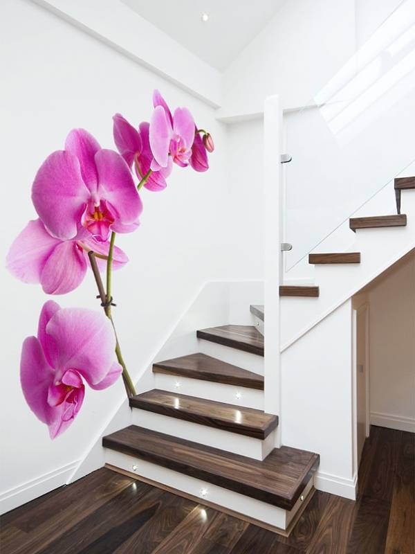 fotobehang met orchideeën