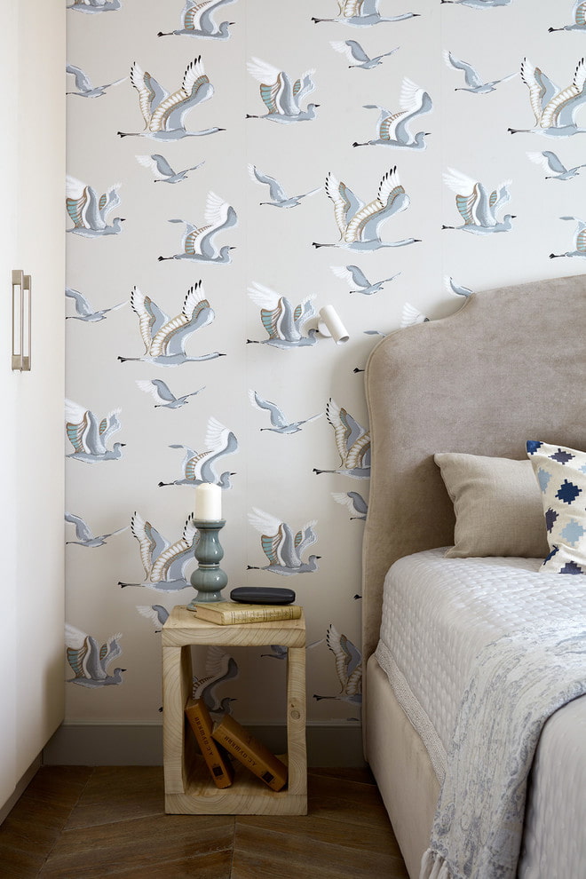 giấy dán tường với chim trong nhà