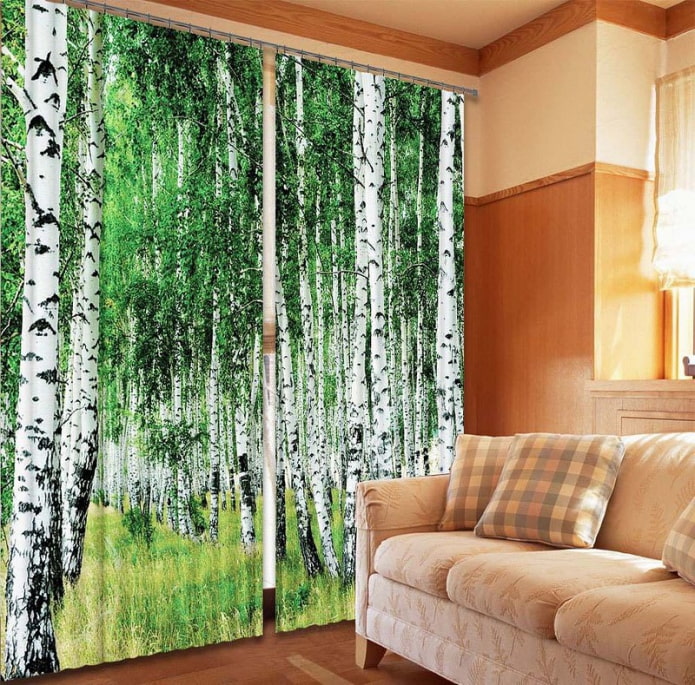 Rèm cửa 3d với hình ảnh của một khu rừng bạch dương