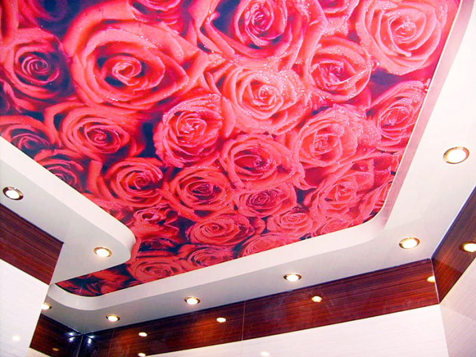 εκτύπωση φωτογραφίας ενός κόκκινου τριαντάφυλλου στο ταβάνι