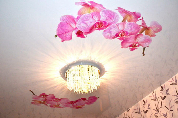 stiept audekls ar orhidejas attēlu