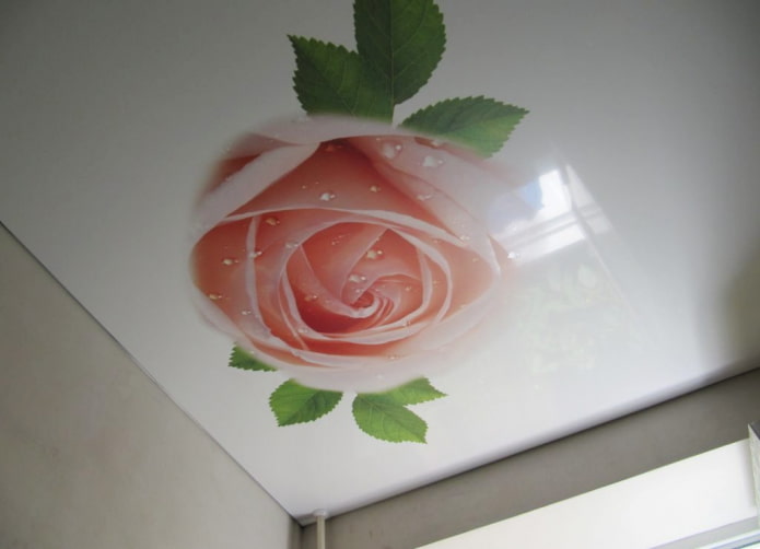 τεντωμένο ύφασμα με εκτύπωση φωτογραφιών σε μορφή τριαντάφυλλου