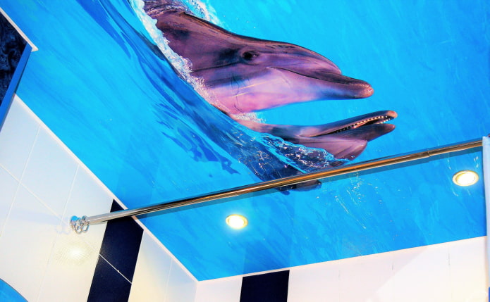 תקרה עם תמונה של דולפינים בחדר האמבטיה