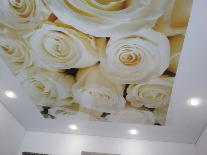 τεντωμένο ύφασμα με εκτύπωση φωτογραφιών σε μορφή τριαντάφυλλου