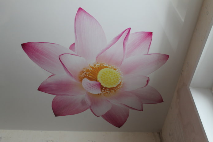 llenç estirat amb la imatge d’un lotus