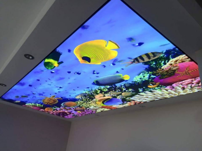 bir akvaryumu taklit eden 3D fotoğraf baskılı tavan