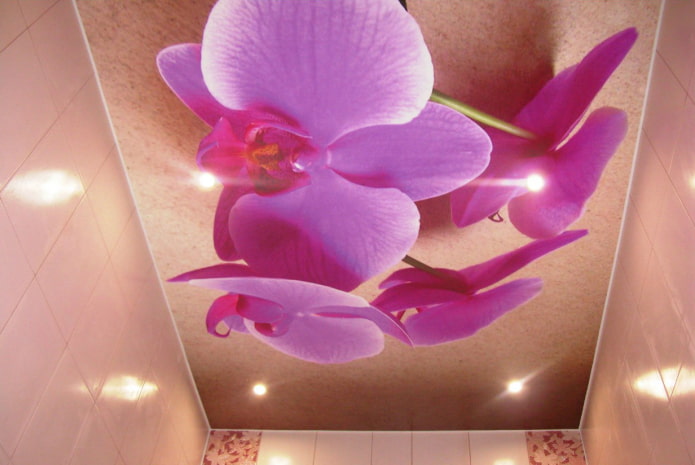 strop s orchidejemi