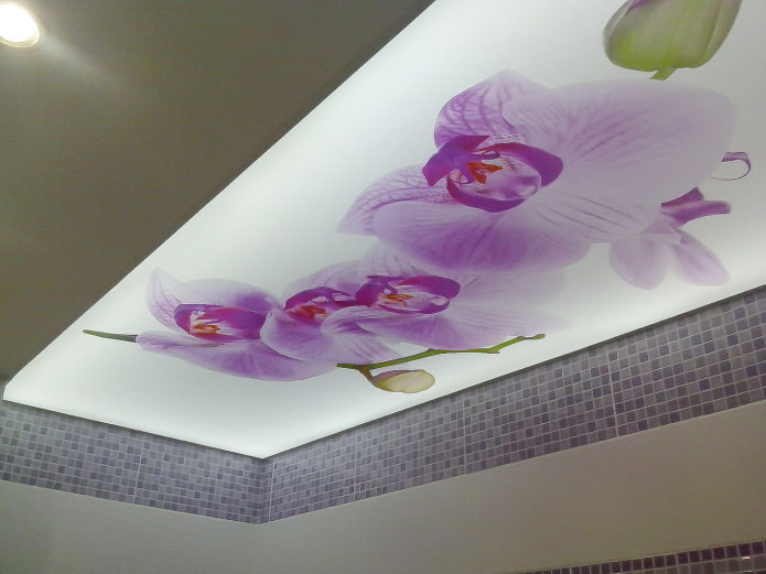 plafond avec des orchidées