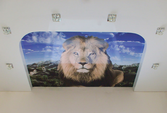 plafond avec une image d'un lion