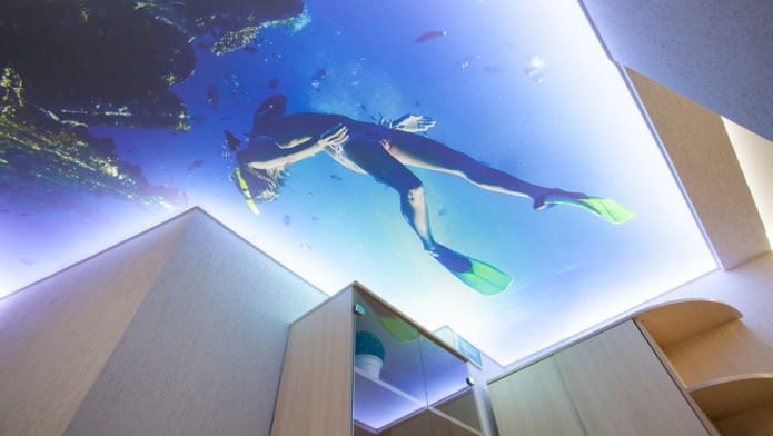 سقف ثلاثي الابعاد مع صورة بحر وغطاس