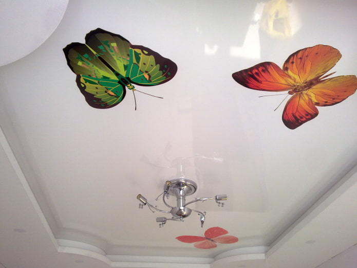 toile extensible blanche avec des papillons