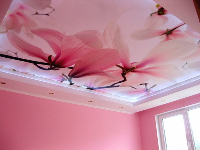 design del soffitto rosa con stampa fotografica