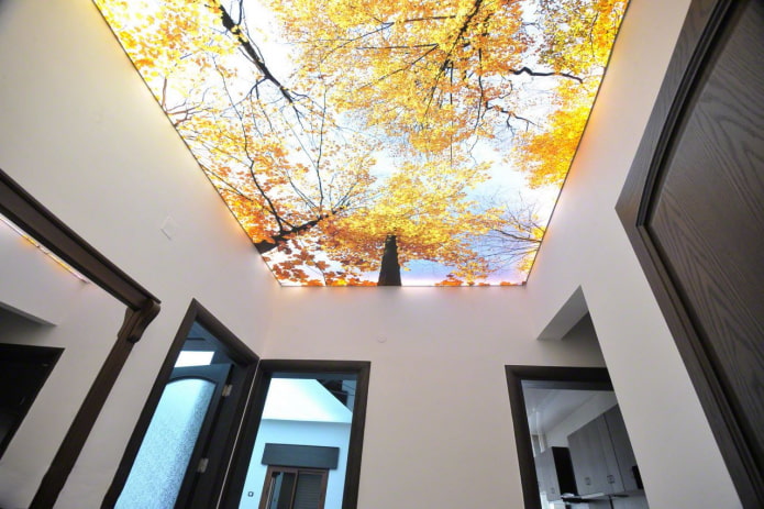 strop s fototlačou vo vnútri chodby