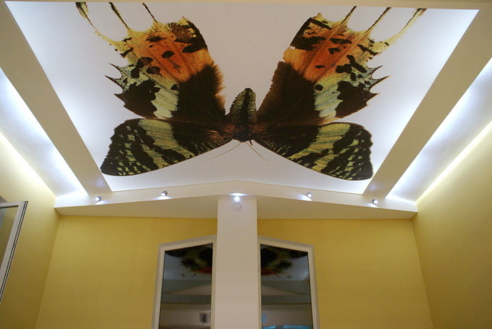 motýlikový strop