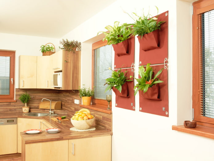 kasvit seinällä keittiön sisätiloissa