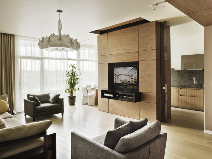 priečka s TV v interiéri kuchyne-obývacej izby