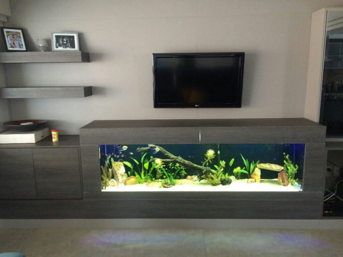 TV au mur avec un aquarium dans le salon