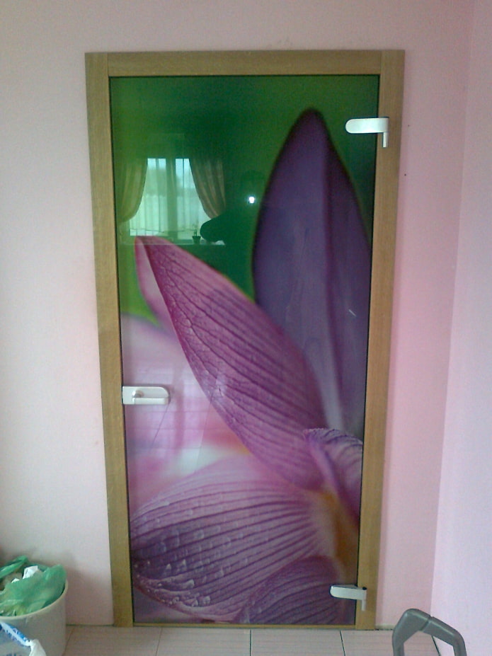 stikla durvis ar foto apdruku interjerā