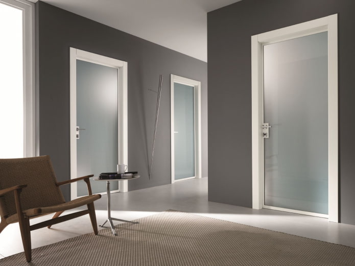dveře s prosklením ve stylu minimalismu