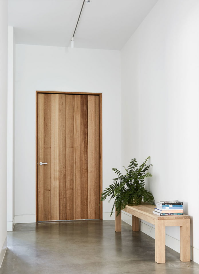 model vstupních dveří ve stylu minimalismu
