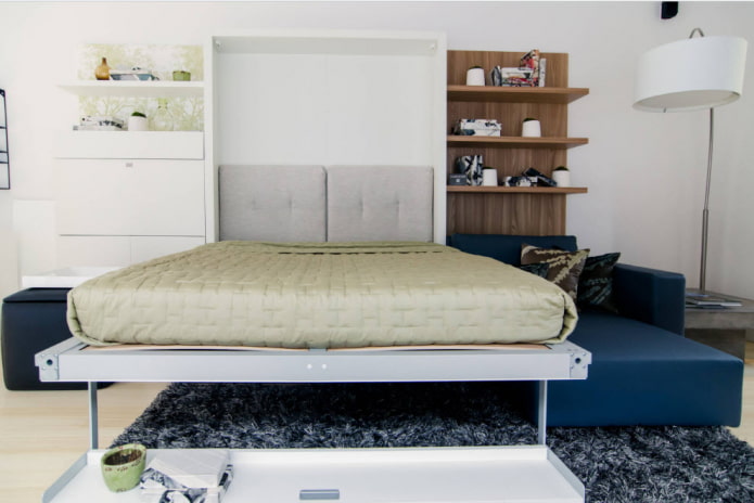 lit armoire avec un canapé à l'intérieur