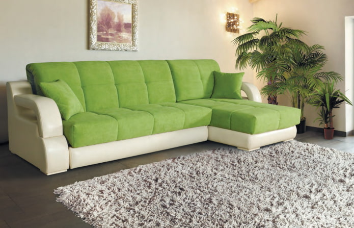 žalia delfinų sofa interjere