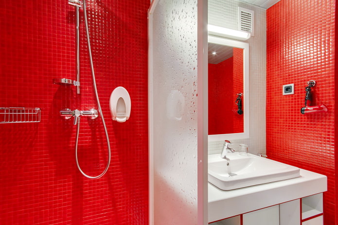 raudonos plytelės vonios kambaryje