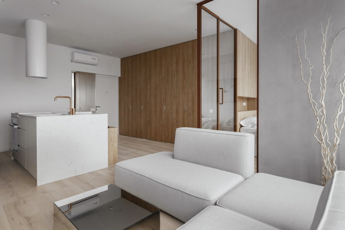 apartament de 40 de pătrate în stilul minimalismului
