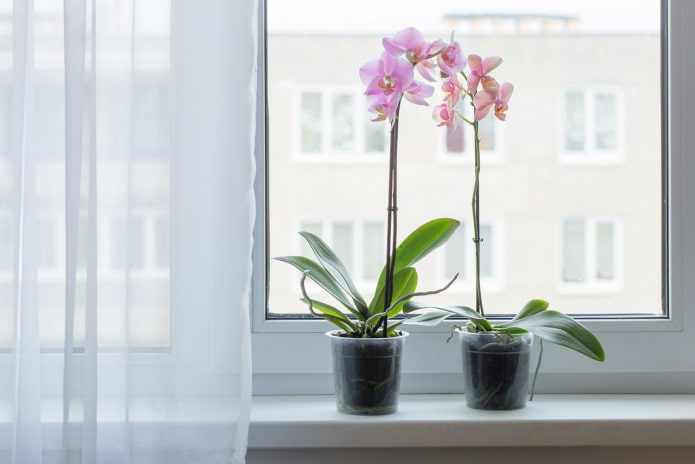 Dirbtinės orchidėjos