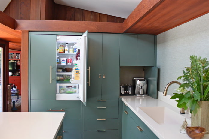 austiņās iebūvēts ledusskapis virtuves interjerā