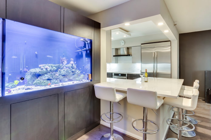 virtuvės interjeras su akvariumu