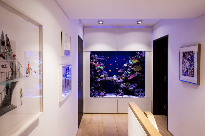 intérieur avec un aquarium encastré dans le mur