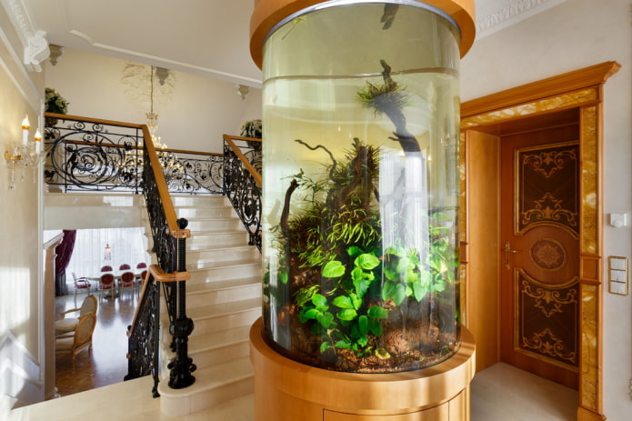 akuarium berhampiran tangga di sebuah rumah persendirian