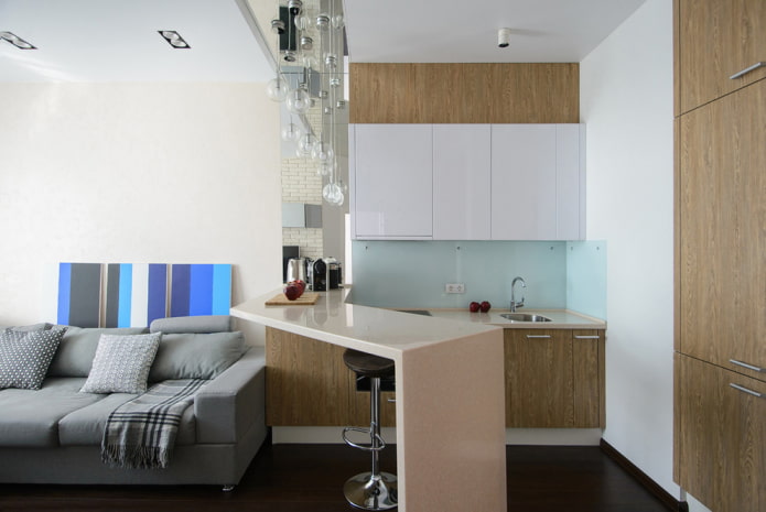 mutfak-oturma odasının iç tasarımı