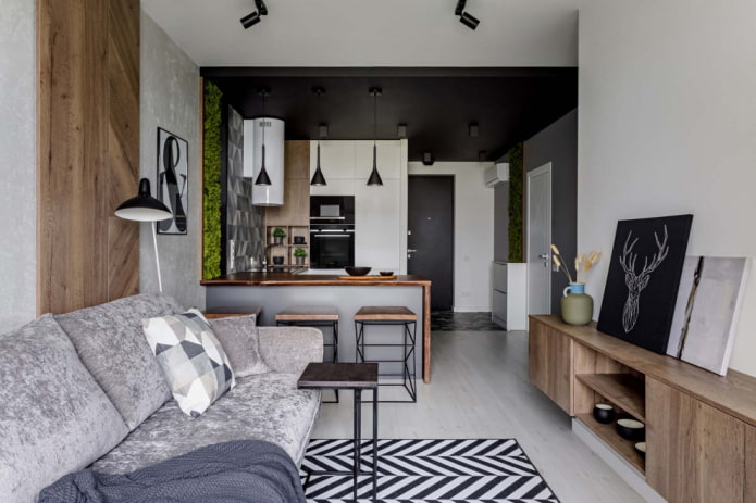 zónování kombinované kuchyně s obývacím pokojem