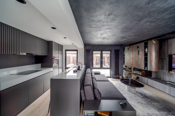 interiér kuchyně-obývací pokoj v tmavých barvách
