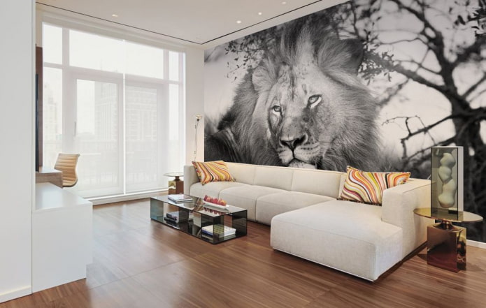 fotomuralas su liūto atvaizdu
