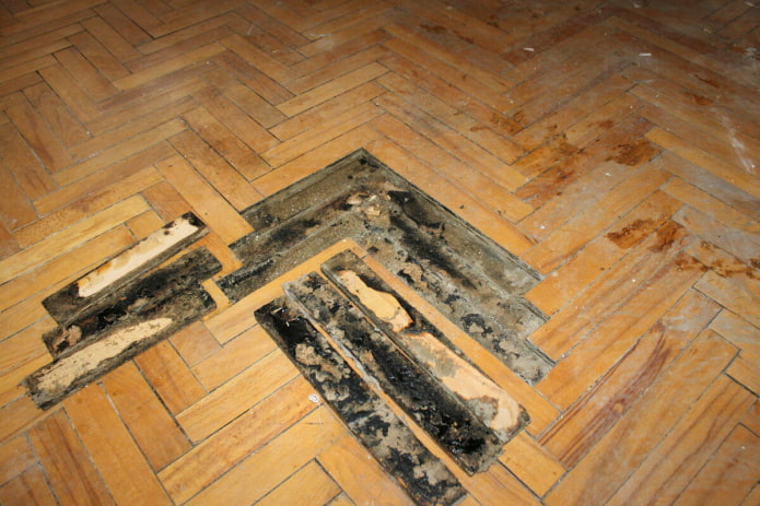 Sàn gỗ cần thay thế
