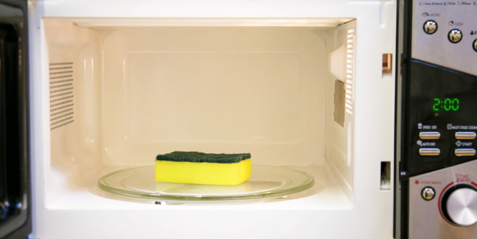 Pembasmian kuman span dalam ketuhar gelombang mikro